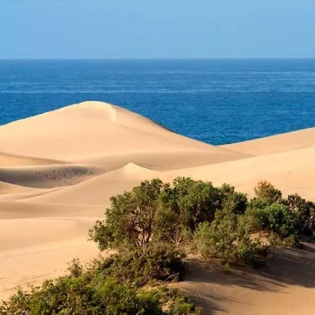 Moderno Triplex Sonneland Appartamento Maspalomas (Gran Canaria)